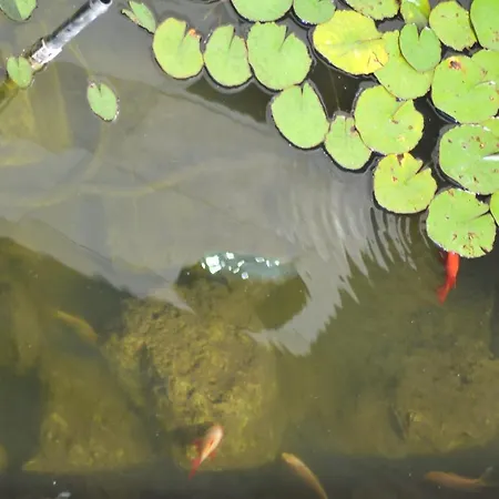 Sole & Querce Apartments- Bike Friendly With Garage * 兰恰诺