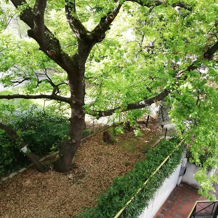 Sole & Querce Apartments- Bike Friendly With Garage 公寓