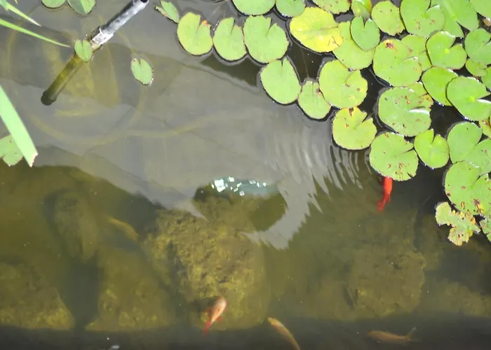 Sole & Querce Apartments- Bike Friendly With Garage * Lanciano